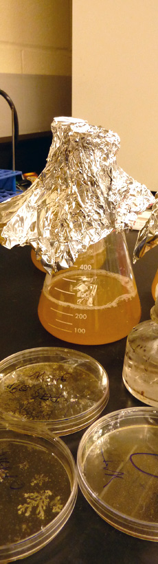 glassware in chemistry lab